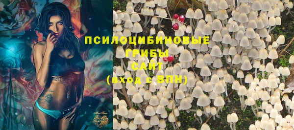 амф Алексин