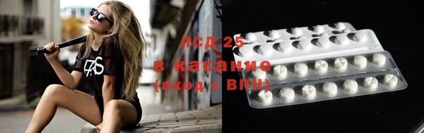 шишки Аркадак
