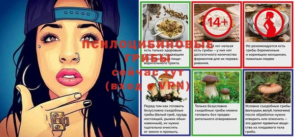 амф Алексин