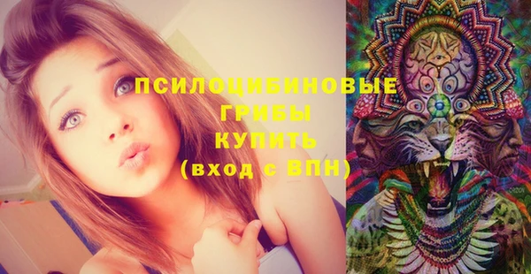 амф Алексин